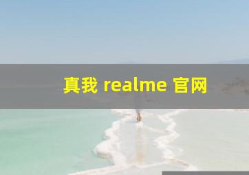 真我 realme 官网